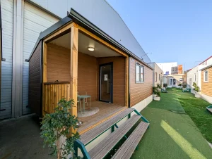 borasunset766_nature-9 copia